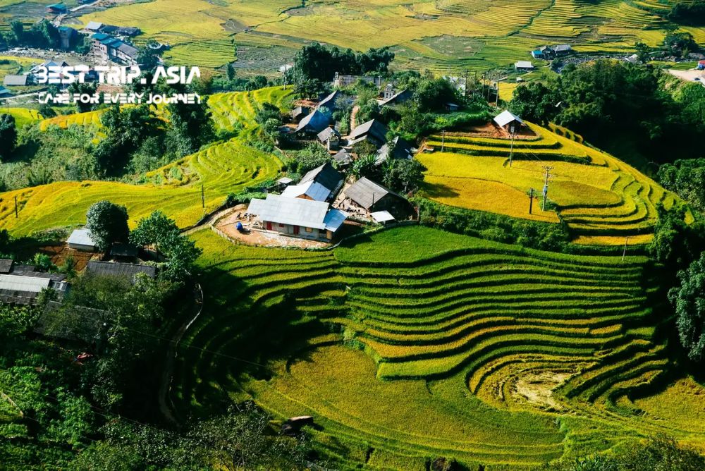 Thiáº¿t káº¿ chÆ°a cÃ³ tÃªn (3).jpg