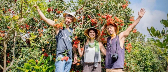 3-tham quan, hÃ¡i trÃ¡i cÃ¢y táº¡i vÆ°á»n.jpg