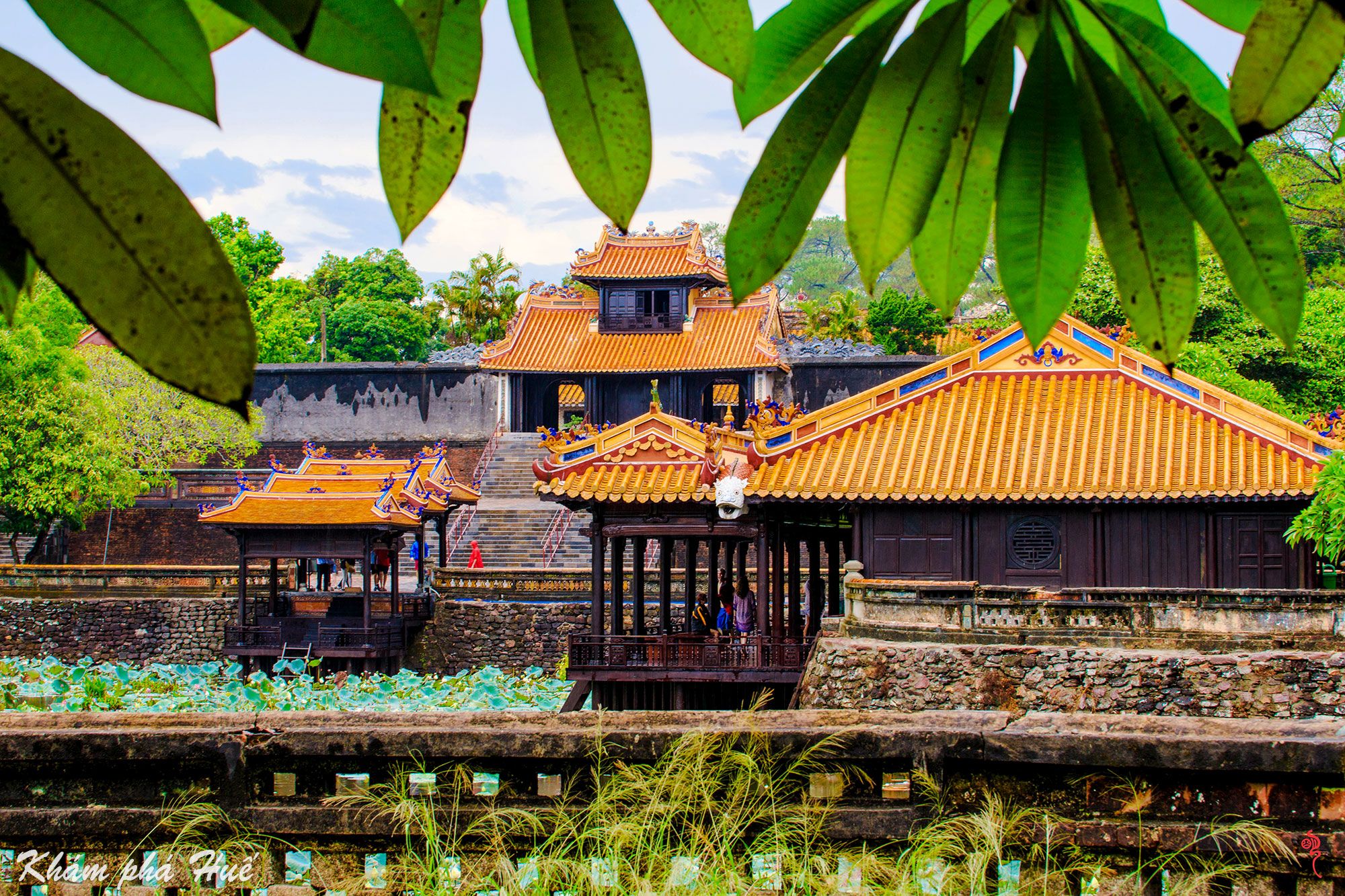 tá»± Äá»©c.jpg