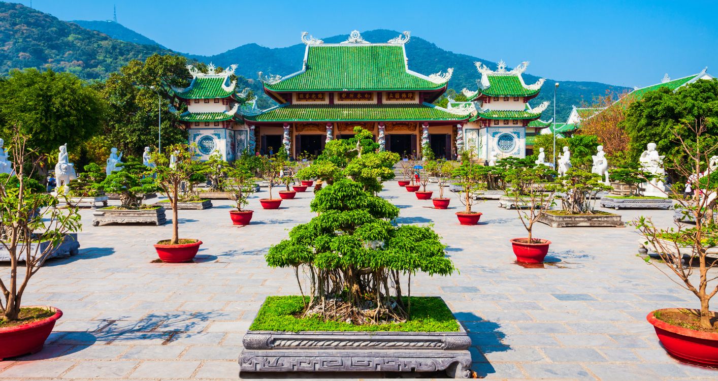 rá»«ng dá»«a 7 máº«u (1).jpg