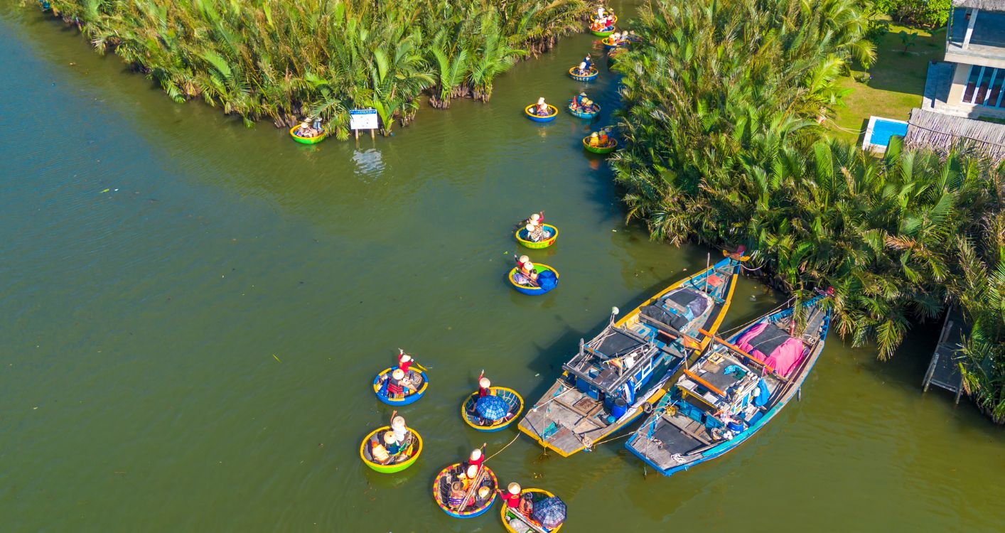 rá»«ng dá»«a 7 máº«u.jpg