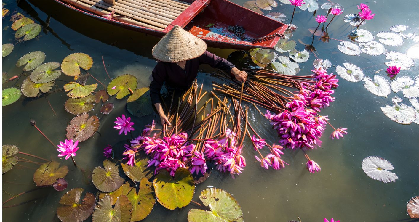 ninh bÃ¬nh vÃ o mÃ¹a hoa sÃºng.jpg